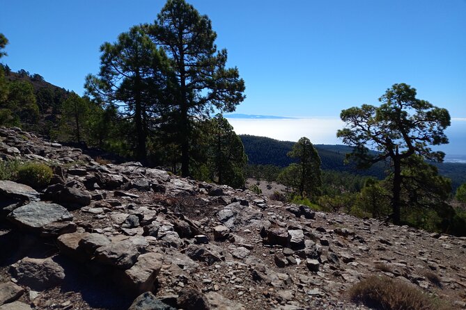 Hiking in Tenerife's Great Outdoors - Walking into Tenerife’s volcanic high country