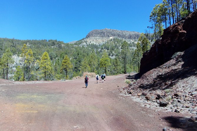 Hiking in Tenerife's Great Outdoors - Andy’s guiding style and the value of explanation