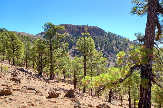 Hiking in Tenerife's Great Outdoors - Small-group size makes a real difference