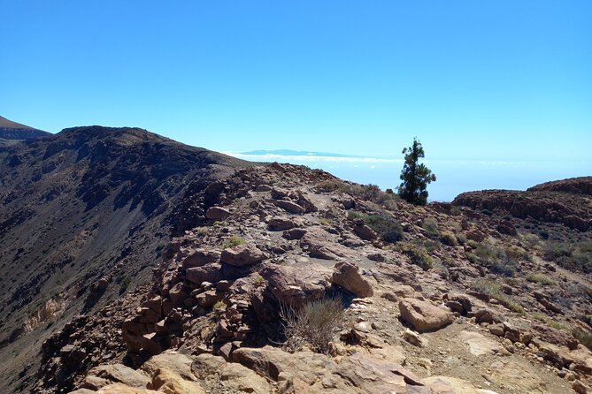 Hiking in Tenerife's Great Outdoors - Hotel pickup from Tenerife’s southern resorts