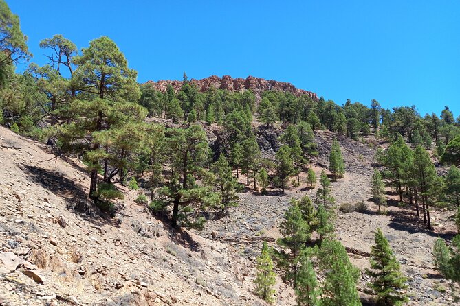 Hiking in Tenerife's Great Outdoors - Is $72.59 good value?