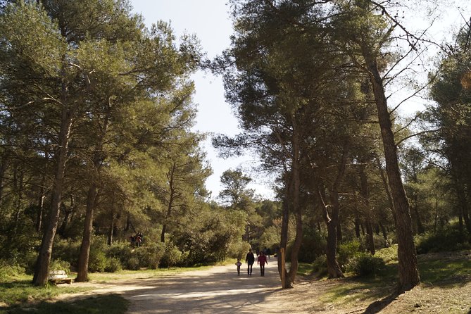 Hiking in the Calanques National park from Marseille - The Grande Candelle and the rocky return