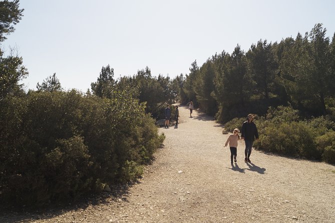 Hiking in the Calanques National park from Marseille - What the guide adds to the experience