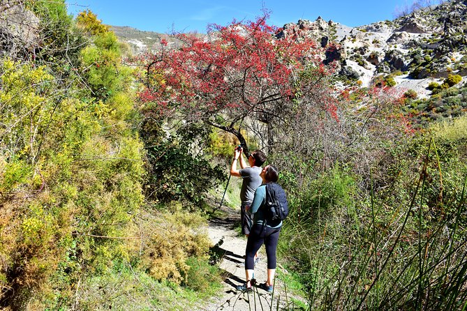 Hiking in the Canyon of the Monachil Cubs in Granada - The route: bridges, water, tunnels, and rock walls