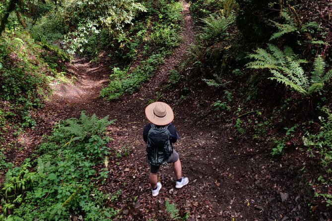 Hiking in the Sierra Norte of Oaxaca - Key points at a glance