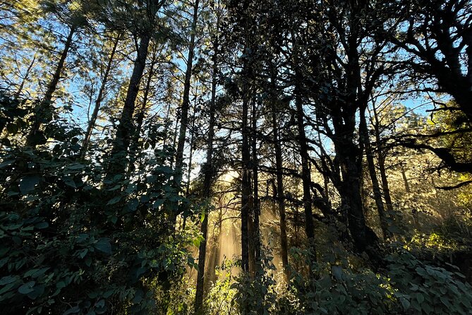 Hiking in the Sierra Norte of Oaxaca - Choosing the route and handling the altitude