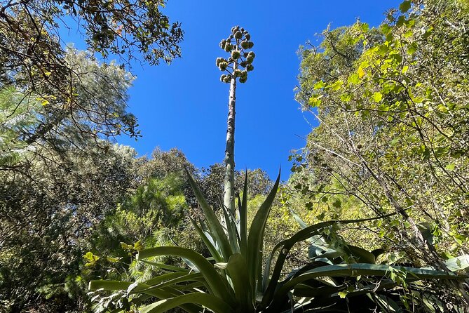 Hiking in the Sierra Norte of Oaxaca - Transport, group size, and overall value