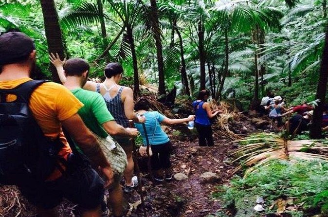 Hiking Mount Liamuiga Volcano in St Kitts - Reaching the crater area and the summit views