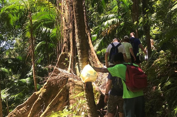 Hiking Mount Liamuiga Volcano in St Kitts - Local bread, fruit, and the Volcano Bar
