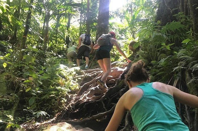 Hiking Mount Liamuiga Volcano in St Kitts - Who should book this climb?