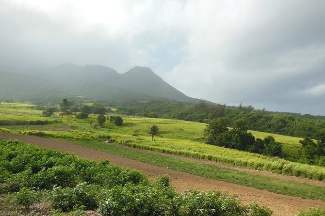 Hiking Mount Liamuiga Volcano in St Kitts - Entering the rainforest below 1,500 feet