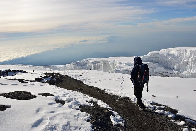 Hiking Mt Kilimanjaro 8 days, the most scenic route up Kili - Why Lemosho is Kilimanjaro’s scenic choice