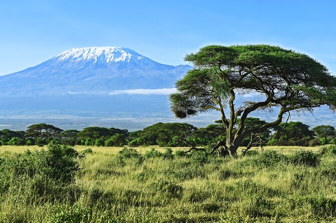 Hiking Mt Kilimanjaro 8 days, the most scenic route up Kili - Day 4: Lava Tower, Shark’s Tooth, and the drop to Barranco
