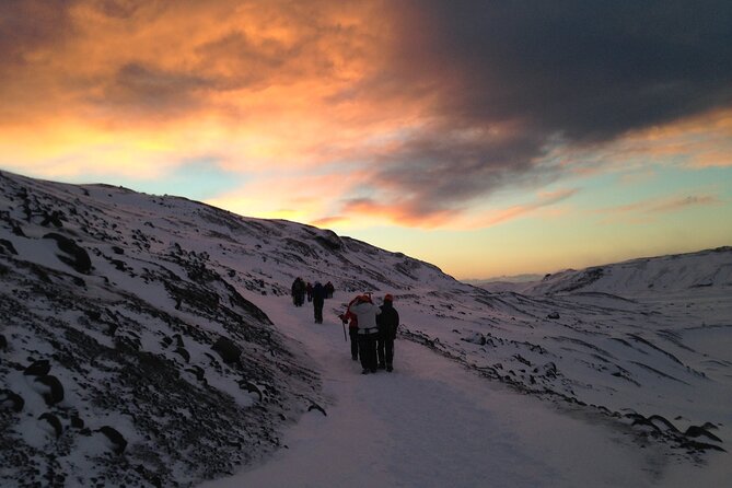 Hiking Mt Kilimanjaro 8 days, the most scenic route up Kili - Day 1: Four-wheel access, rainforest, and Big Tree Camp