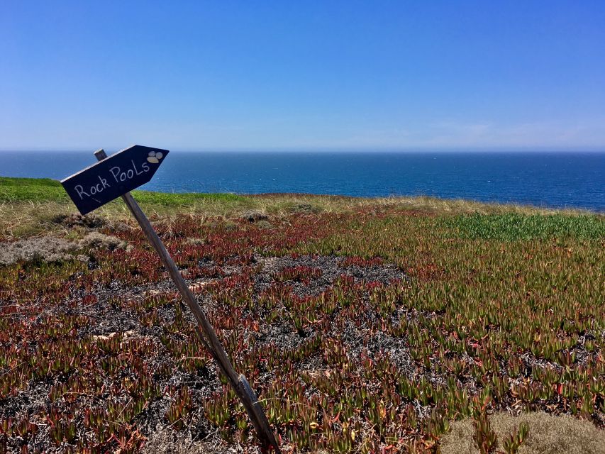 Hiking Tour Along the West Coastline - A Wild Coast Day From Lisbon