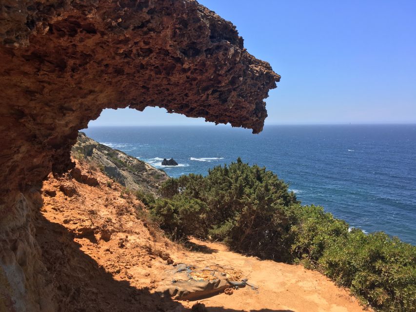 Hiking Tour Along the West Coastline - Who Should Book This Coast Hike?