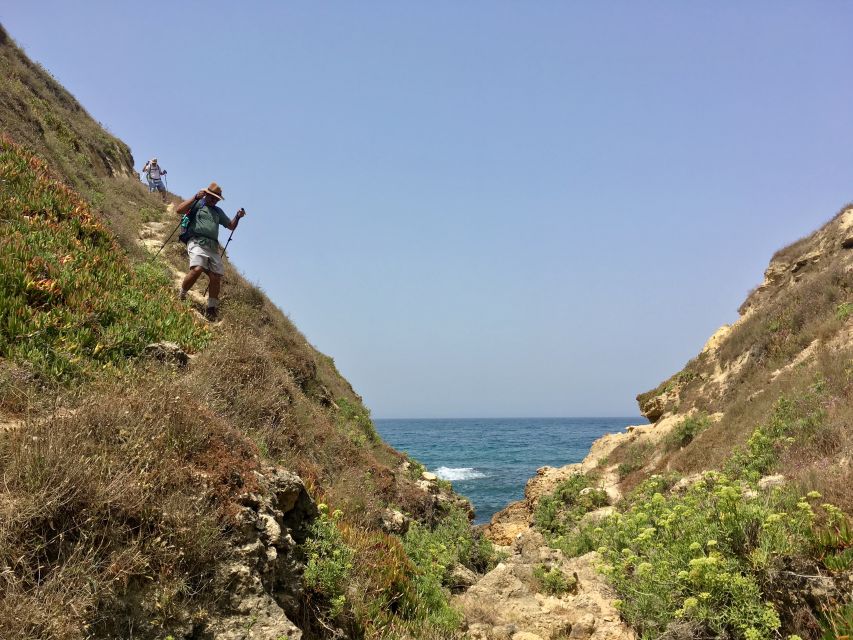 Hiking Tour Along the West Coastline - Flowers, Birds, and Atlantic Wildlife