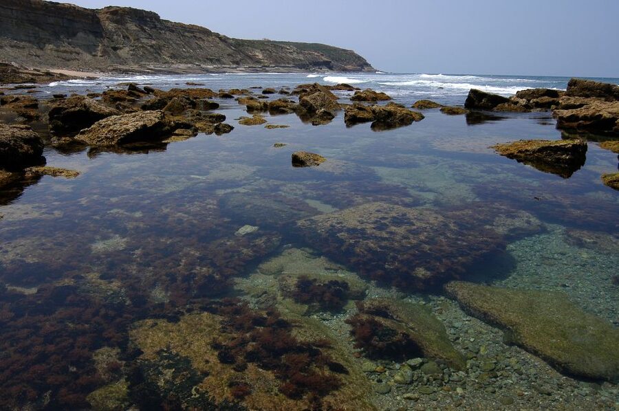 Hiking Tour Along the West Coastline - What the $118 Price Covers