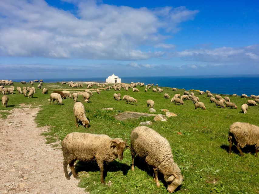 Hiking Tour Along the West Coastline - Practical Packing Advice