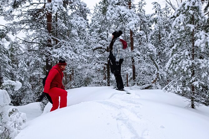 Hiking tour in Nuuksio National Park with meal and snacks - Why Nuuksio makes a good half-day escape