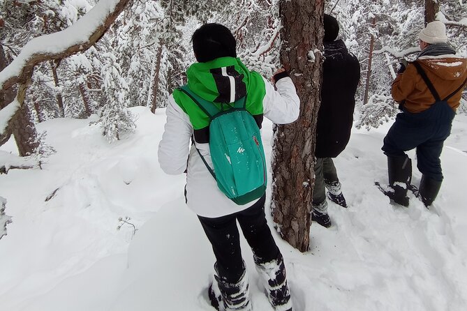 Hiking tour in Nuuksio National Park with meal and snacks - Plants, berries, mushrooms, and Finnish forest life