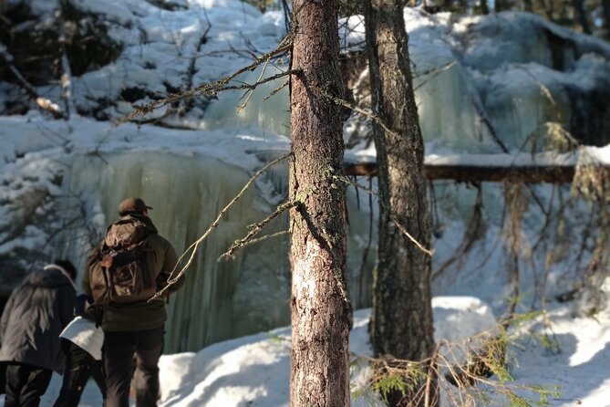 Hiking tour in Nuuksio National Park with meal and snacks - Is the $113.72 price good value?