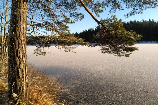 Hiking tour in Nuuksio National Park with meal and snacks - Who will enjoy this hike most?