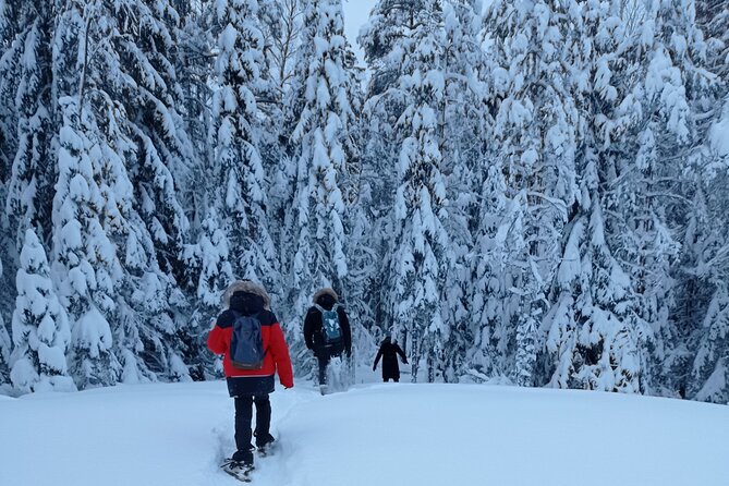 Hiking tour in Nuuksio National Park with meal and snacks - Meeting David in central Helsinki
