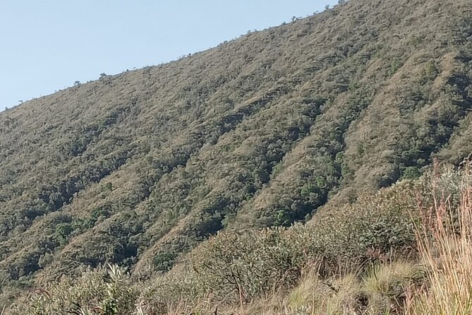 Hiking Trip to Mount Longonot National Park & Lake Naivasha - The Great Rift Valley viewpoint