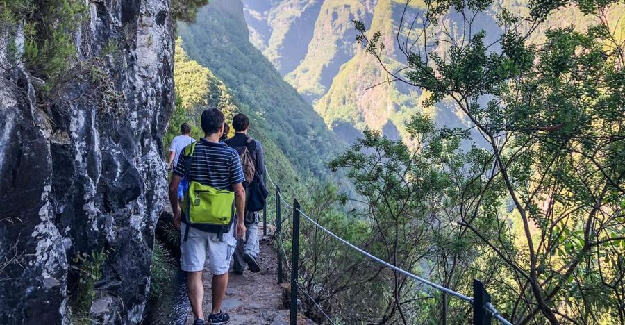 Hiking Trip with a Local - Why this private Madeira hike works