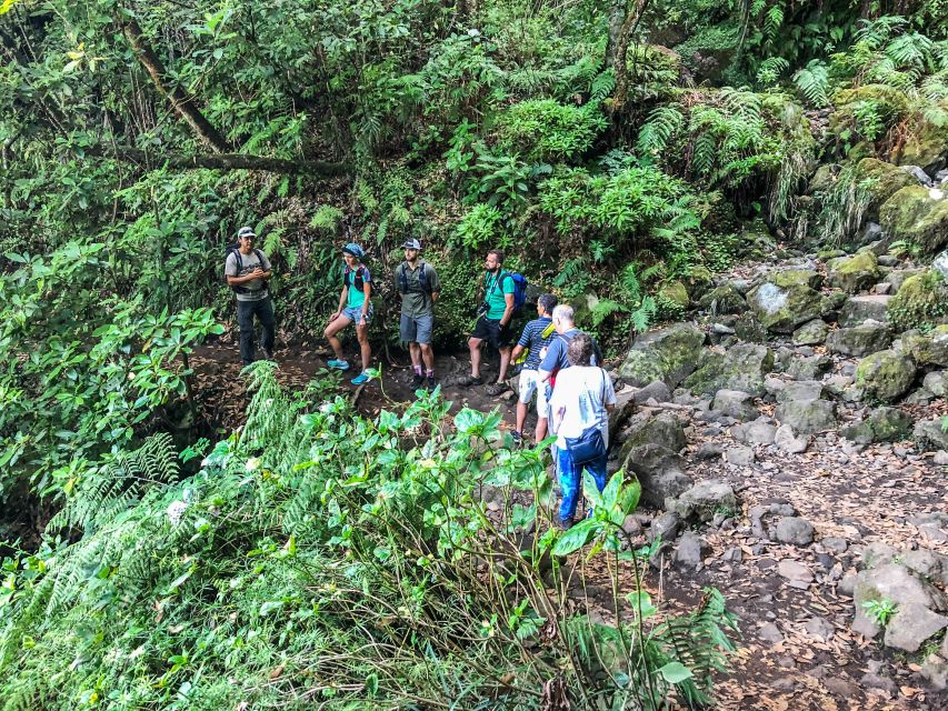 Hiking Trip with a Local - Should you book Hiking Trip with a Local?