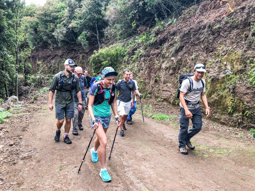 Hiking Trip with a Local - From hotel door to trailhead