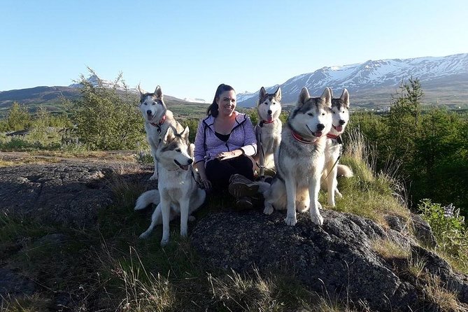 Hiking with Husky in Akureyri (private) - A Strong Choice for Families and Dog Lovers