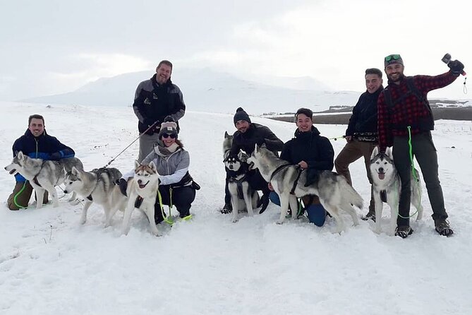 Hiking with Husky in Akureyri (private) - Timing, Weather, and Practical Details