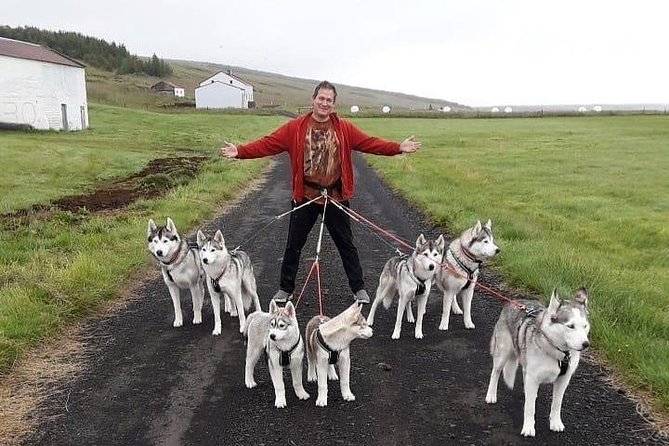Hiking with Husky in Akureyri (private) - Who Should Book This Experience