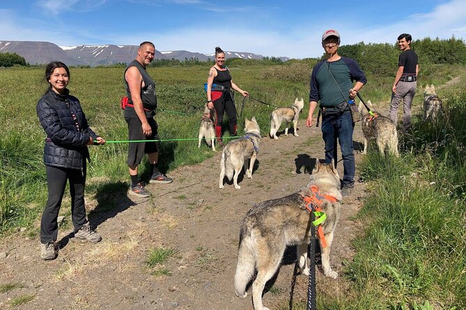 Hiking with Husky in Akureyri (private) - Coffee, Photos, and a Visit Inside the House