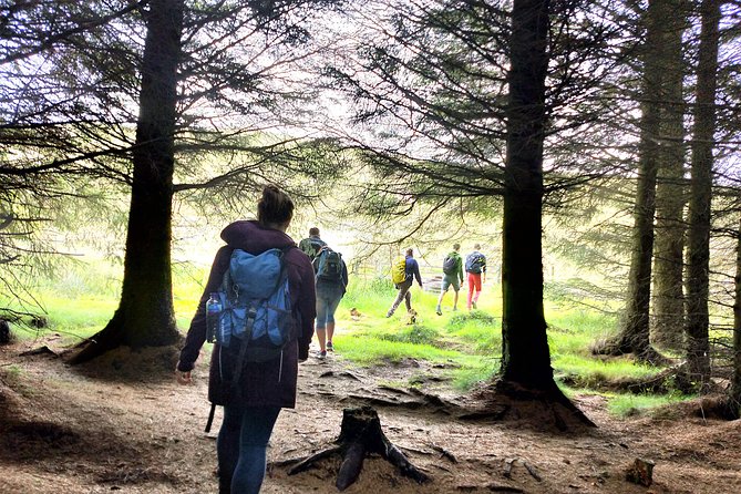Hill & Nature Hike - Discover Real Edinburgh With a Local Expert - Reaching Allermuir Peak and the big views
