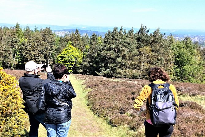 Hill & Nature Hike - Discover Real Edinburgh With a Local Expert - Highland cows, sheep, deer, and small natural details