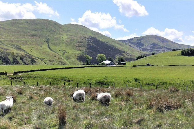 Hill & Nature Hike - Discover Real Edinburgh With a Local Expert - What Rishi adds to the walk