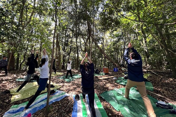 Hiroshima Local guided Hiking Tour&Open-air Tea Ceremony - Starting at Hiroshima Station
