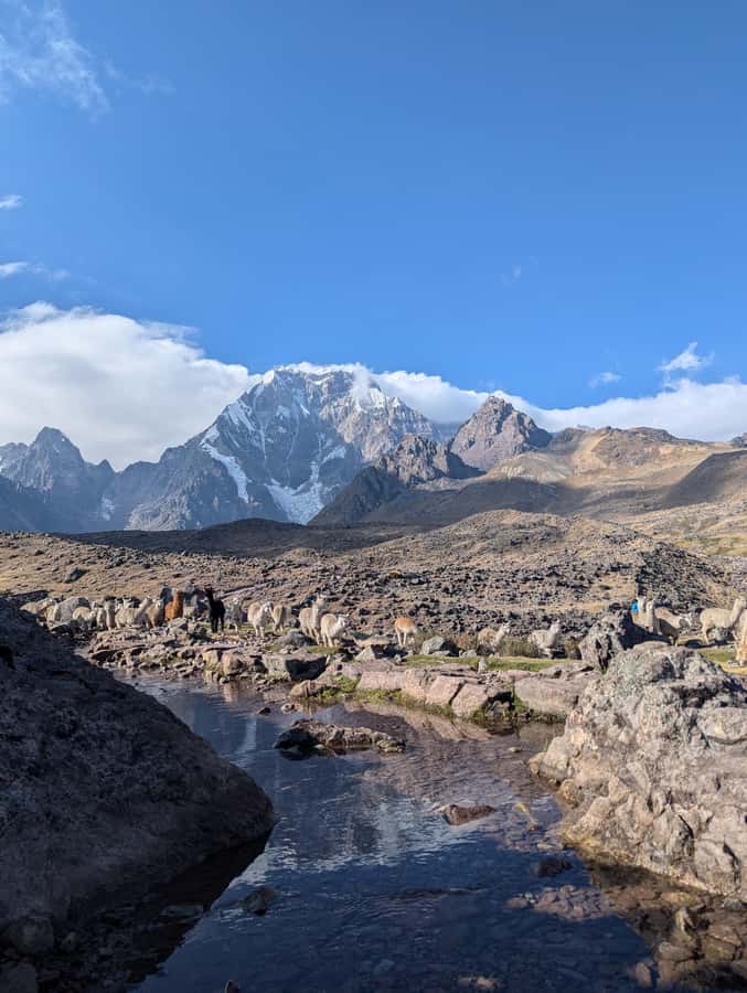Horseback Riding at 7 lakes Ausangate Private |Optional Hike - Breakfast in Pacchanta at 4,100 meters