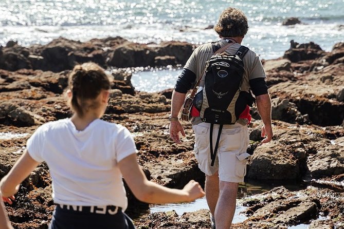 Howth Safari Hiking Tour - Red Rock, Baily Lighthouse, and the sea cliffs