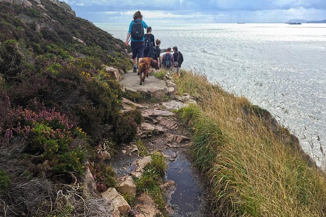Howth Safari Hiking Tour - What the guides add to the walk
