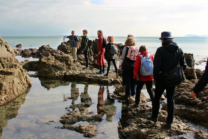 Howth Safari Hiking Tour - Bog of the Frogs and Shielmartin Hill