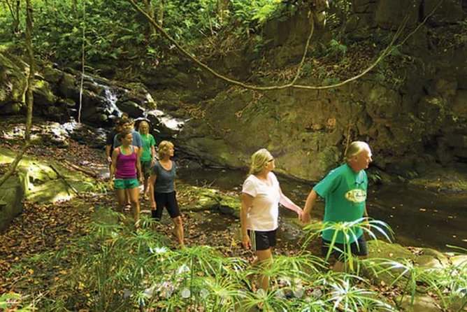 Huleia River Hidden Valley Falls Kayak & Hike - Is the $162.28 price fair?