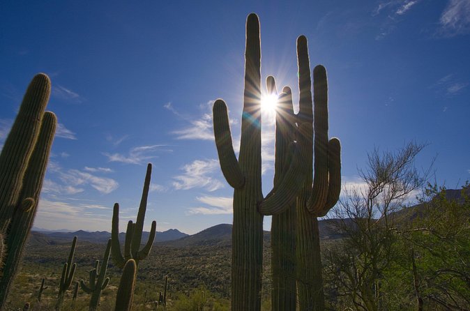 Iconic Tom's Thumb Guided Hiking Adventure in Scottsdale, Arizona - Reaching the granite monolith