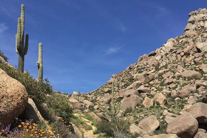 Iconic Tom's Thumb Guided Hiking Adventure in Scottsdale, Arizona - Switchbacks, cacti, and Sonoran Desert life