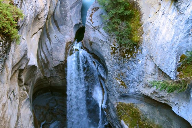 Jasper Wildlife and Sightseeing Tour with Maligne Lake Hike - Maligne Canyon and the changing effects of the fire