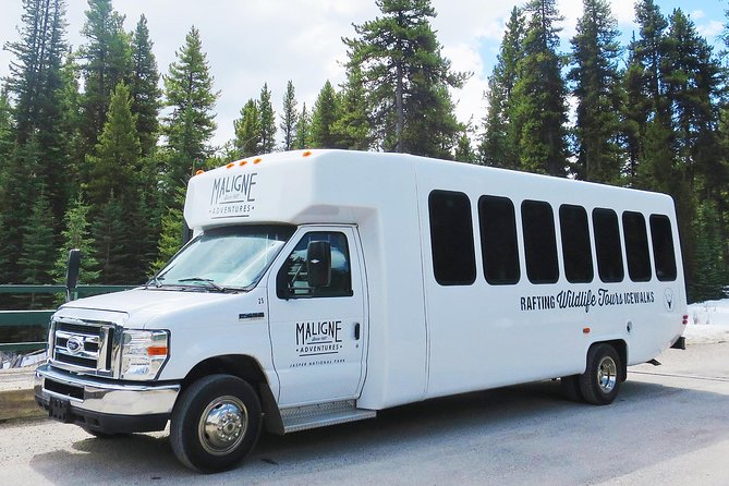 Jasper Wildlife and Sightseeing Tour with Maligne Lake Hike - Lunch, timing, and what to bring