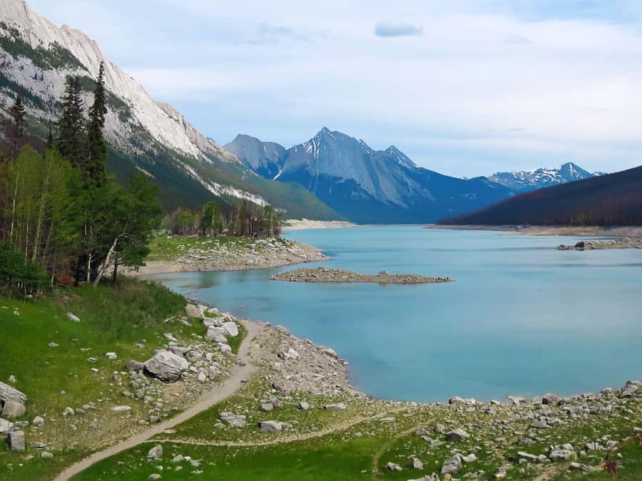 Jasper: Wildlife and Waterfalls Tour with Lakeshore Hike - Who will enjoy this tour most
